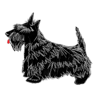 Australian Terrier Animals