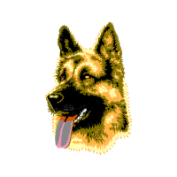 Australian Terrier Animals