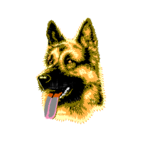 Australian Terrier Animals