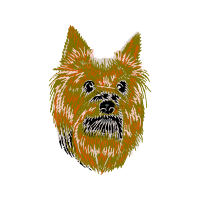 Australian Terrier Animals
