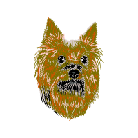 Australian Terrier Animals