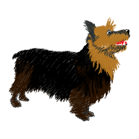 Australian Terrier Animals