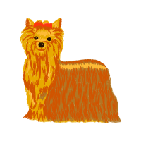 Australian Terrier Animals