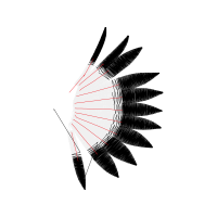 Image Animals Image Animals