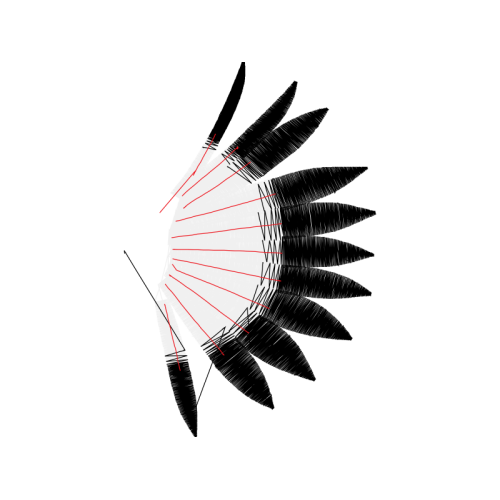 Image Animals Image Animals