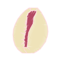 Bal Kesir University Animals