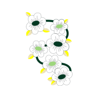 Barberton Daisy Animals Barberton Daisy Animals