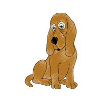 Basset Hound Animals