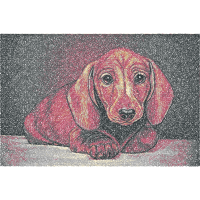 Basset Hound Animals