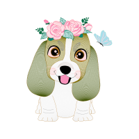 Basset Hound Animals