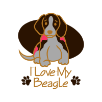 Basset Hound Animals