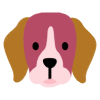 Basset Hound Animals