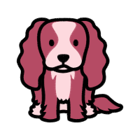 Basset Hound Animals