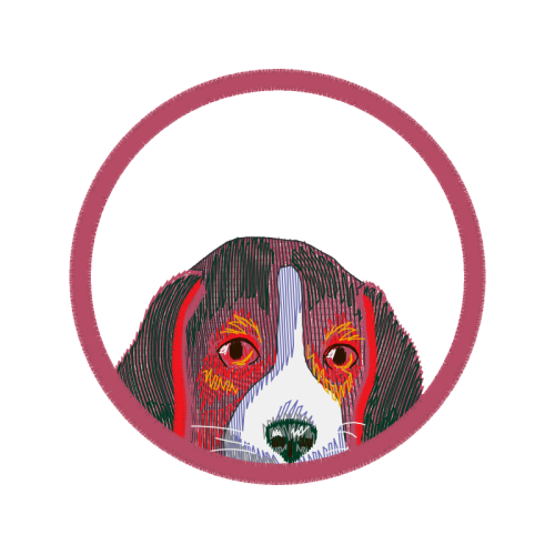 Beagle Animals Beagle Animals