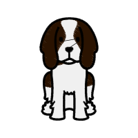 Beagle Animals