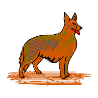 Belgian Shepherd Animals