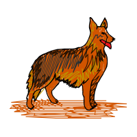 Belgian Shepherd Animals