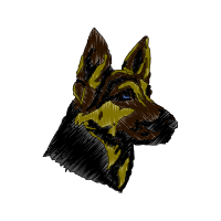 Belgian Shepherd Animals