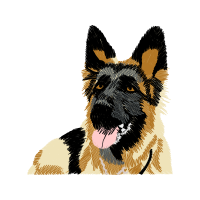 Belgian Shepherd Animals