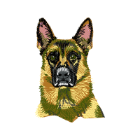 Belgian Shepherd Animals