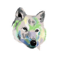 Belgian Shepherd Animals