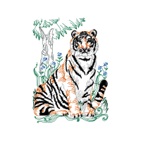 Bengal Tiger Animals