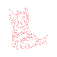 Berger Picard Animals