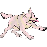 Berger Picard Animals