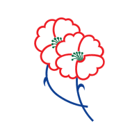 Bichon Fris Animals Bichon Fris Animals