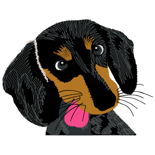 Black And Tan Coonhound Animals Black And Tan Coonhound Animals