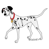 Black And Tan Terrier Animals