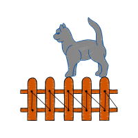 Black Norwegian Elkhound Animals