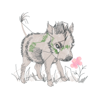 Black Norwegian Elkhound Animals Black Norwegian Elkhound Animals