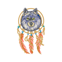 Black Norwegian Elkhound Animals