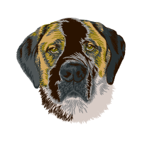 Bloodhound Animals Bloodhound Animals