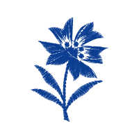 Blue Animals Blue Animals