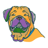 Boerboel Animals