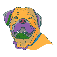 Boerboel Animals