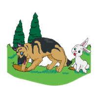 Bohemian Shepherd Animals