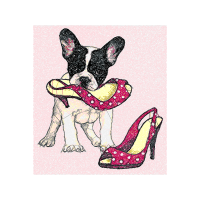 Boston Terrier Animals