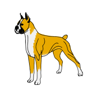 Boxer Animals