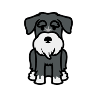 Brazilian Terrier Animals