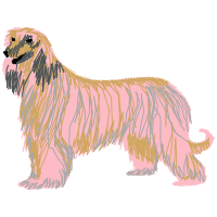 Briard Animals Briard Animals
