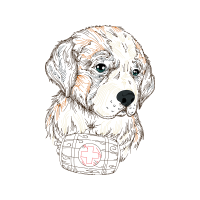 Briquet Griffon Vend En Animals