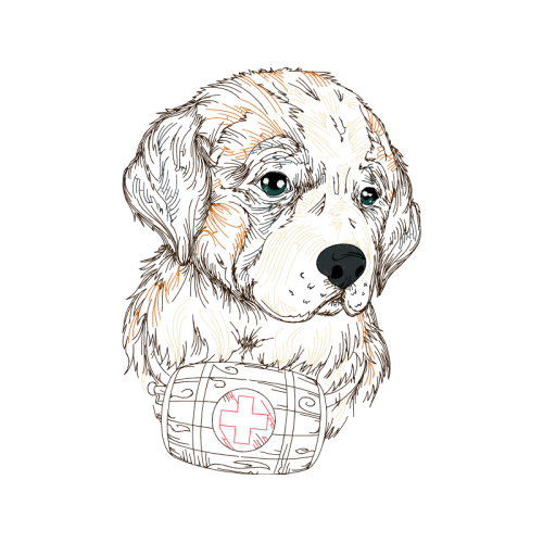 Briquet Griffon Vend En Animals Briquet Griffon Vend En Animals