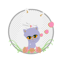 British Shorthair Animals British Shorthair Animals