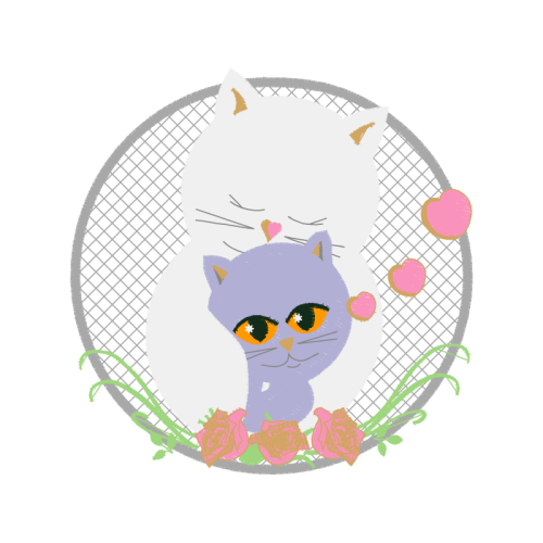 British Shorthair Animals British Shorthair Animals