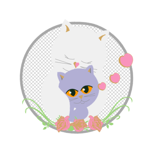 British Shorthair Animals British Shorthair Animals