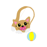 British Shorthair Animals