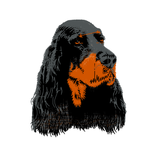 Brussels Griffon Animals Brussels Griffon Animals